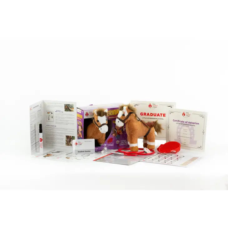 Veterinarian Horse Activity Set